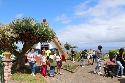 IMG 0771
