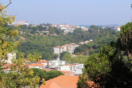 13698117 1248156998537099 8357634412419277207 o